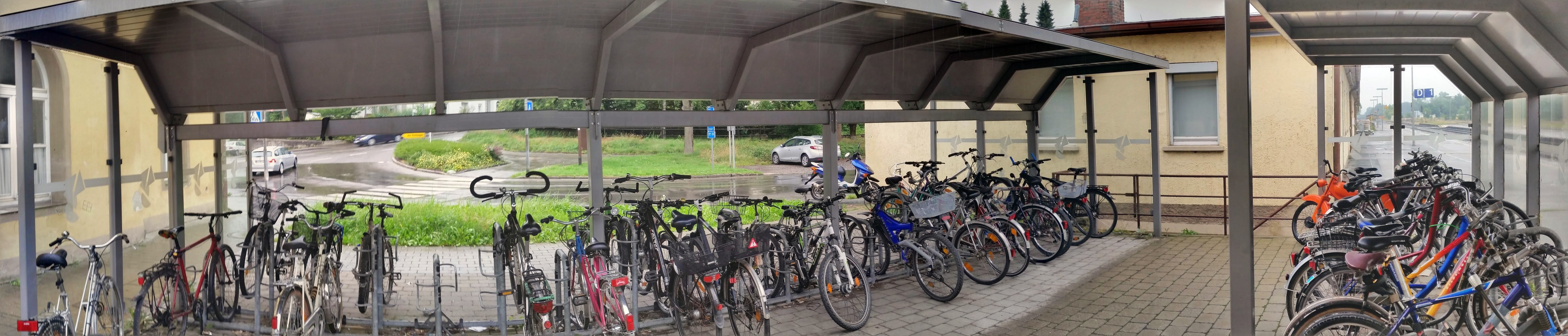 Radverkehr und Fußgänger